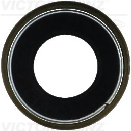Seal Ring, valve stem